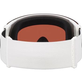 Oakley Flight Deck Pro L síszemüveg 4.Kép