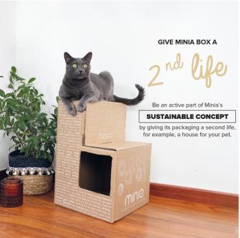 Polisport Minia CFS hátsó gyerekülés csomagtartóra 14.Kép