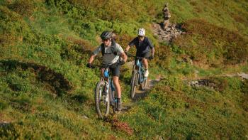 Cube Stereo Hybrid ONE44 HPC AT 800 E-MTB kerékpár 17.Kép