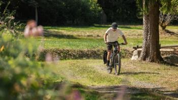 Cube Reaction Hybrid Pro 800 FE EE 29 E-MTB kerékpár 12.Kép